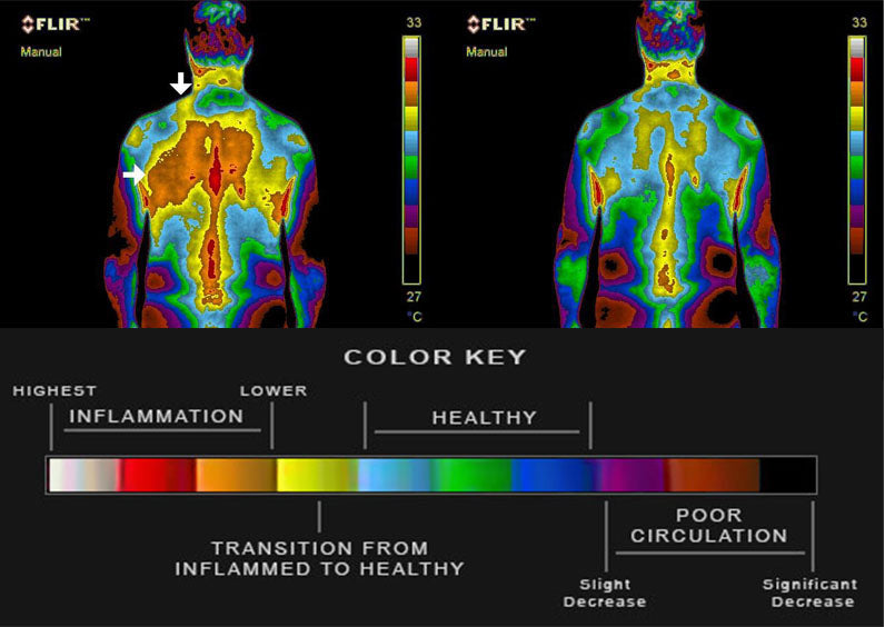 Sleep & Stress Regulation